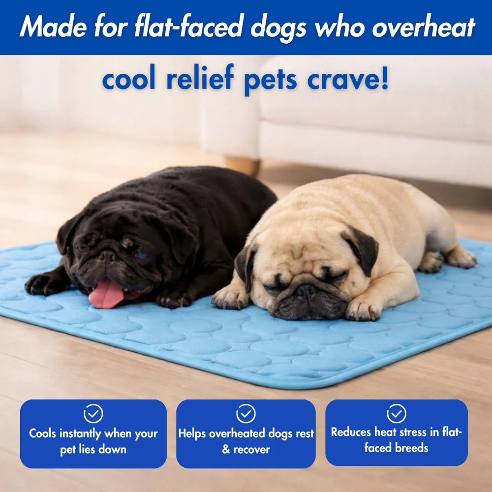 Pet Cooling Mat