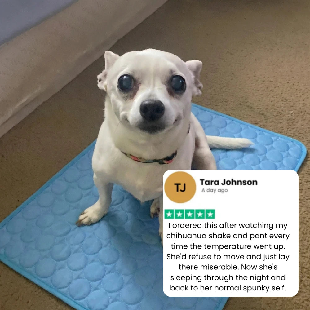 Pet Cooling Mat